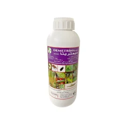 imgi_22_ديمترينا