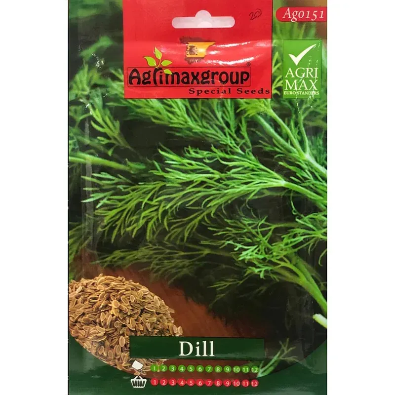 Premium Dill Seeds â Fresh & Flavorful