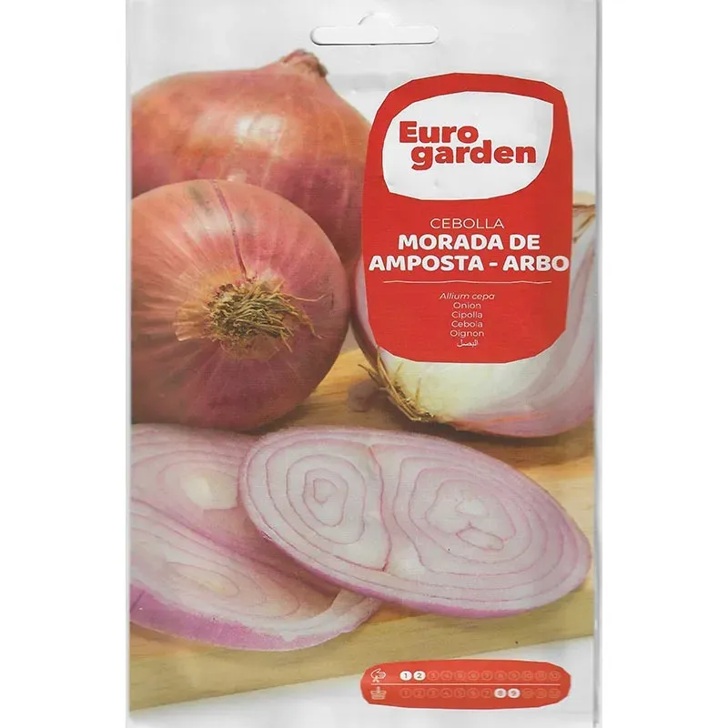 Amposta Purple Onion Seeds â Sweet & Flavorful