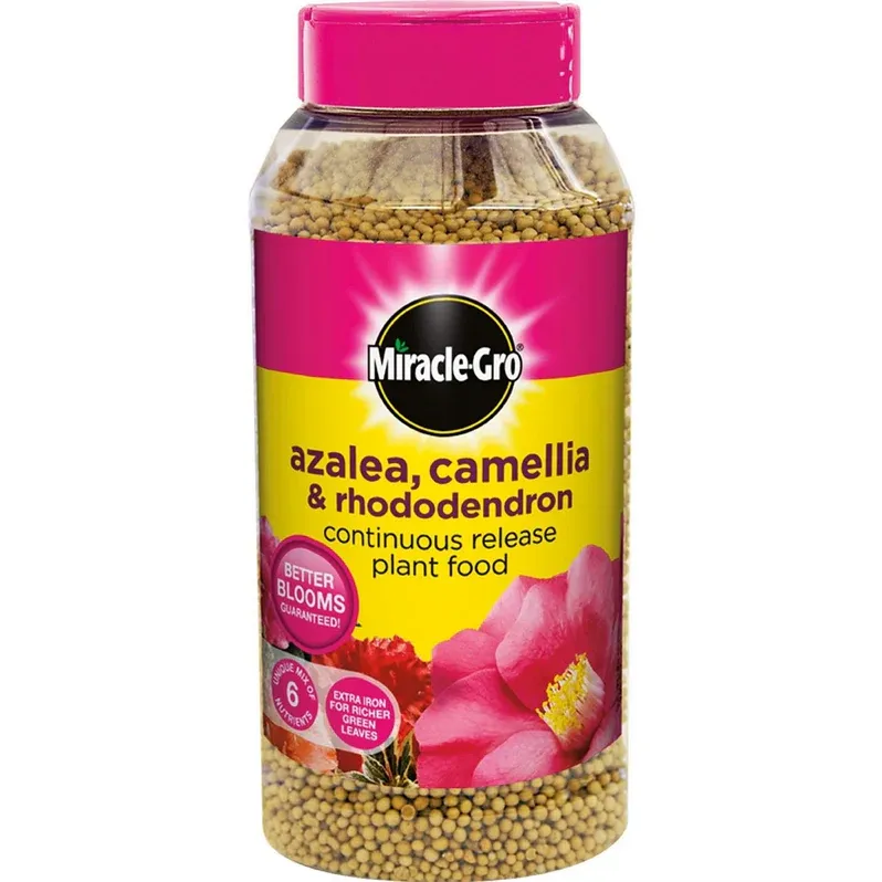 Miracle-Gro Acid-Loving Plant Fertilizer â Azalea & Camellia (UAE)